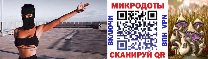 Псилоцибиновые грибы прущие грибы где купить наркотик Нововоронеж